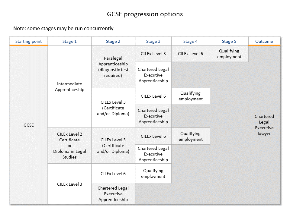 GCSE progression options